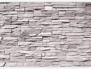 murando - Papier peint panoramique artistique 400x280 cm - Revêtement mural décoration chambre salon - Design moderne - Gris marron - Architecture pierre moderne gris texture fond f-A-0588-a-a
