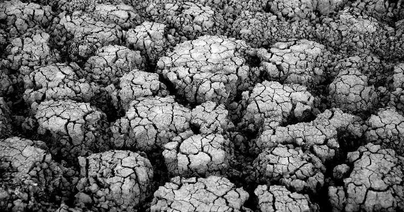L'application : la méthode qui fonctionne à tous les coups