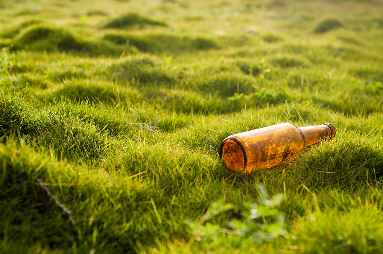 Quel type de gazon choisir selon l’exposition de son jardin ?