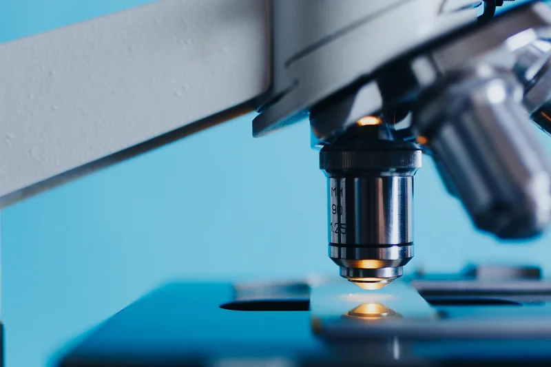 Comment choisir le bon régime de neutre en 2026 ?