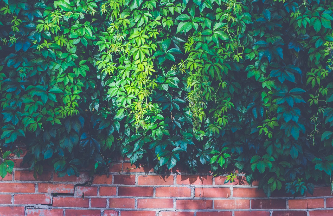 Comment réaliser un mur en briques pour un style industriel ?