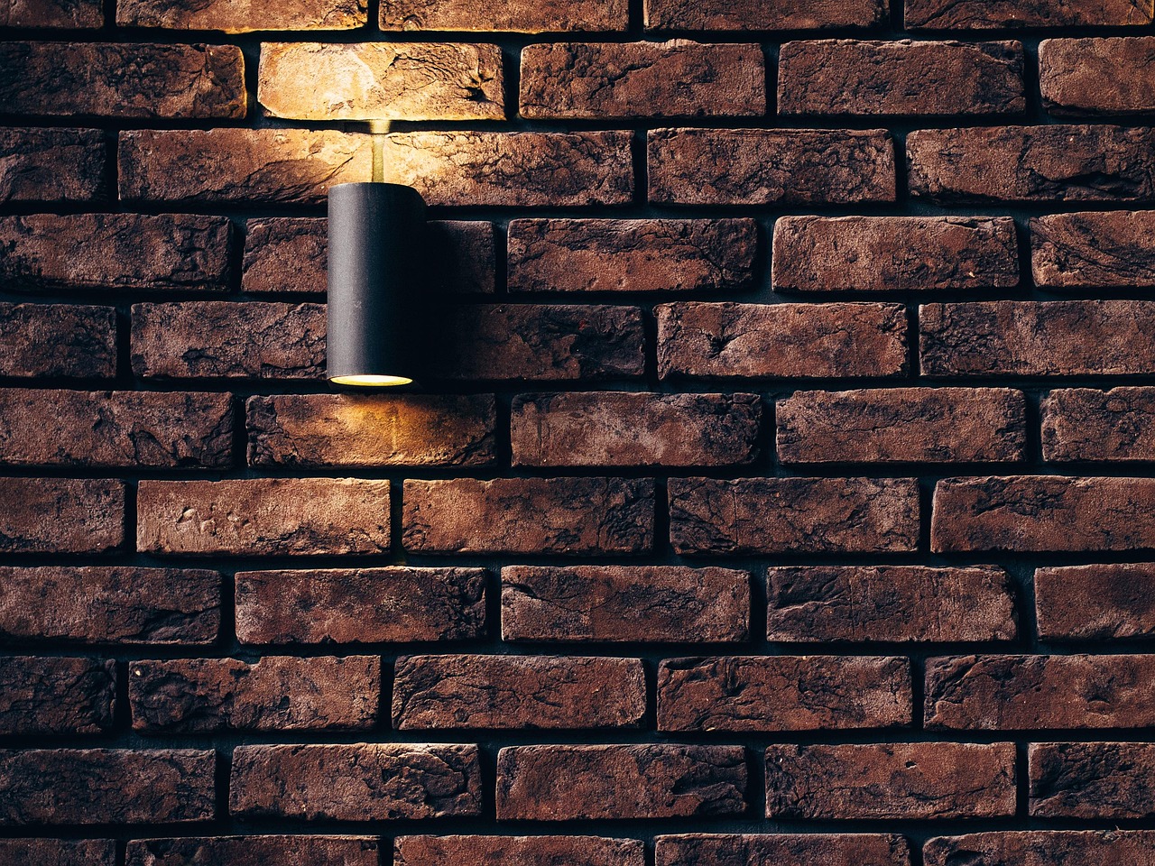 Comment créer un mur végétal d’intérieur sans système complexe ?
