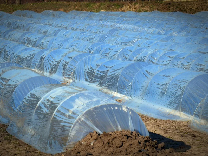 Comment j’ai choisi ma bâche anti-UV pour le jardin (et ce que j’aurais aimé savoir avant)