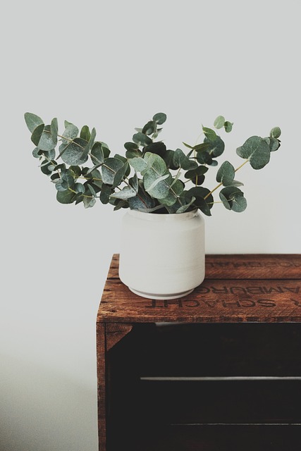 Faire soi-même des jardinières en bois : idées simples et efficaces