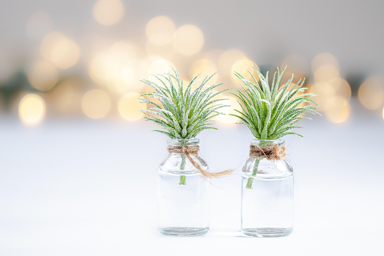 Comment transformer des bocaux en verre en objets de décoration tendance ?