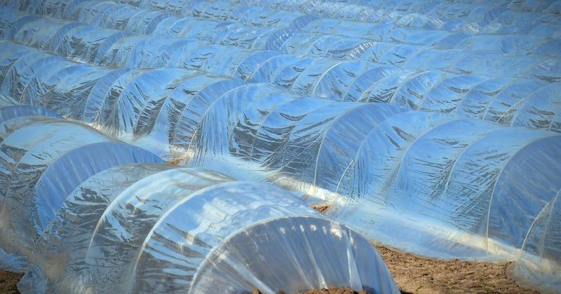 Bâche de protection : comment choisir la bonne sans se tromper