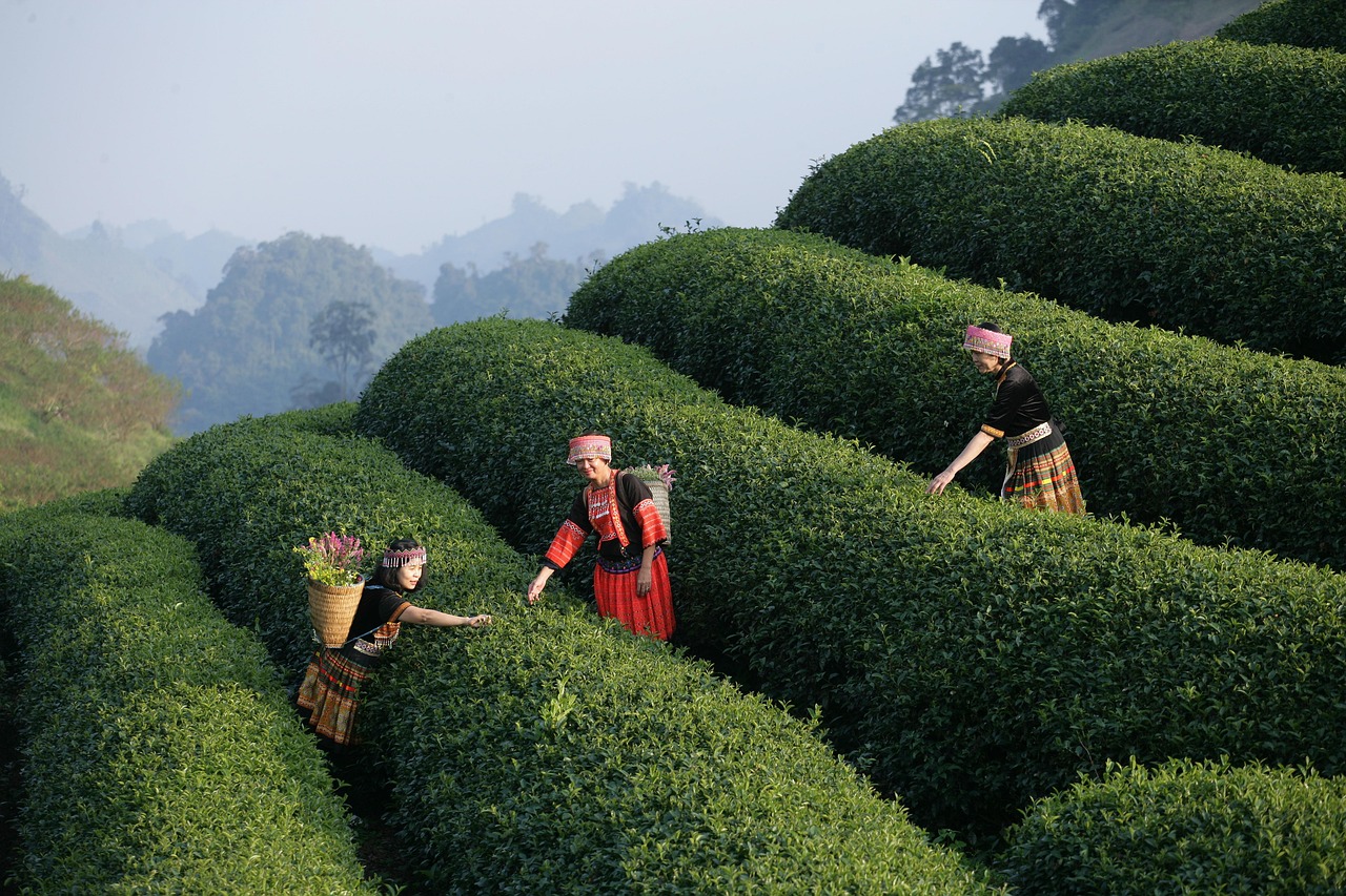 découvrez l'importance de l'expérience utilisateur (ux), ses principes clés et les meilleures pratiques pour concevoir des interfaces intuitives, efficaces et attrayantes, qui favorisent la satisfaction et la fidélisation des utilisateurs.