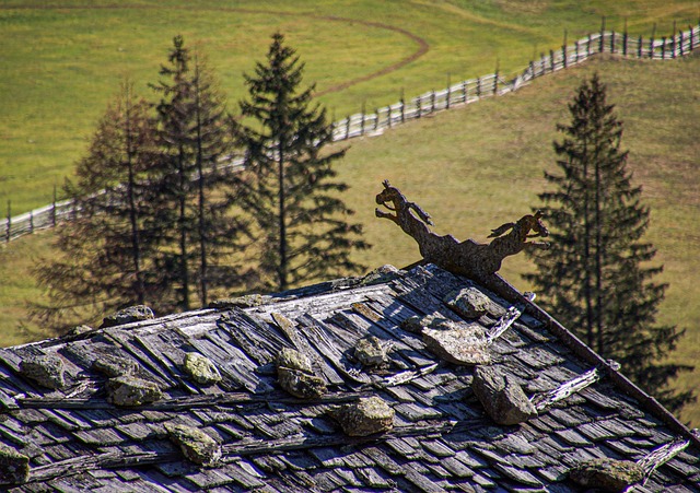 g5c8787f4b3be6c8a34a3104440737a7f85d29b6463e014ee429c291b7113bc1c17369a88d51199869c8569cc47f834384d03d40d836e4c6a354030efb7f39649 640